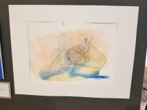 20180623_185229
